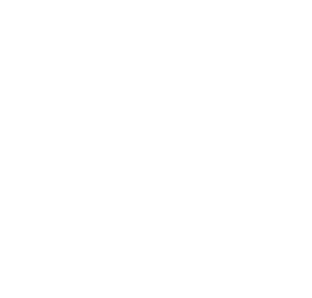 THE MOVEMENT